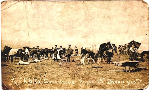 A and D Squadrons, Royal 1st Devon Yeomanry, Larkhill Camp, Salisbury Plain, May 1913