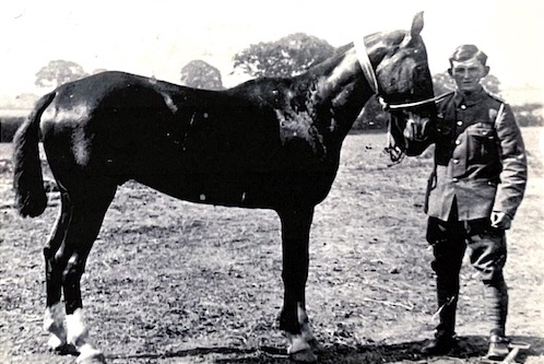 Bob Renals standing with a well-groomed horse